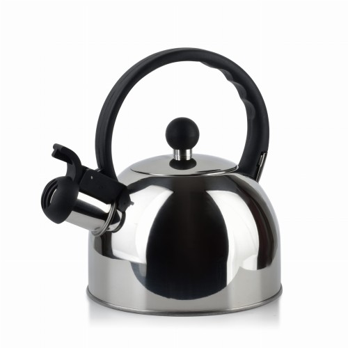 Czajnik 2,5L SAM SILVER srebrny