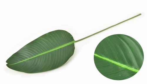 Sztuczny kwiat 100x2,5cm Liść VIRIDIIS
