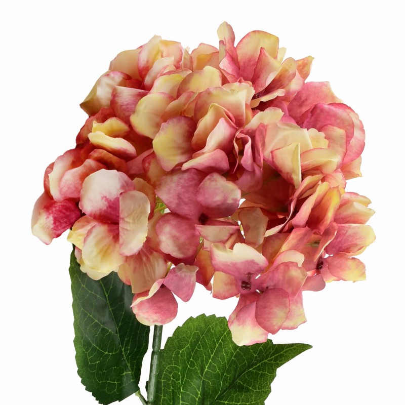 Kwiat sztuczny HORTENSJA dwukolorowa 73cm VIRIDIS